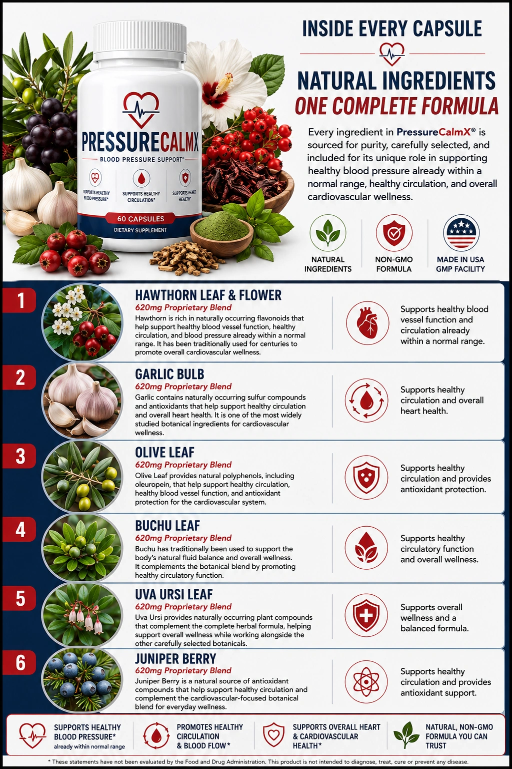 Overview of a supplement ingredient panel
